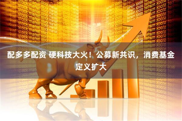 配多多配资 硬科技大火！公募新共识，消费基金定义扩大