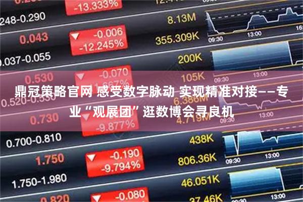 鼎冠策略官网 感受数字脉动 实现精准对接——专业“观展团”逛数博会寻良机