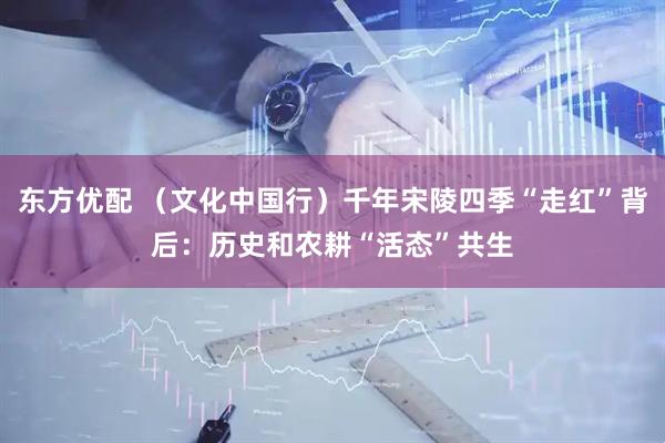 东方优配 （文化中国行）千年宋陵四季“走红”背后：历史和农耕“活态”共生